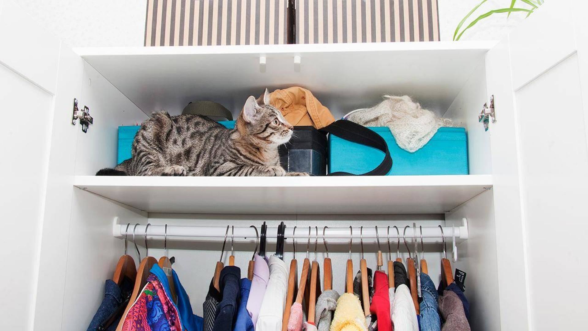 We're often quizzed about the best, and though  most of us are making do with the tiny closets that came with our  apartments (plus