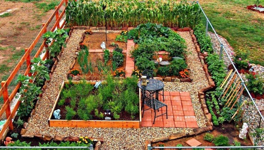 The Lab started simply, three raised beds that we used for recreational  gardening before BUFCO became a thing