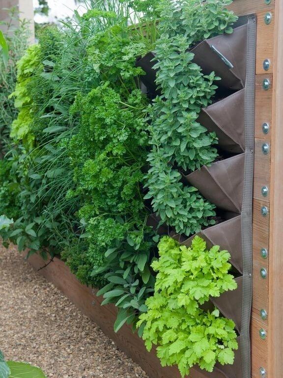 backyard vegetable garden  ideas