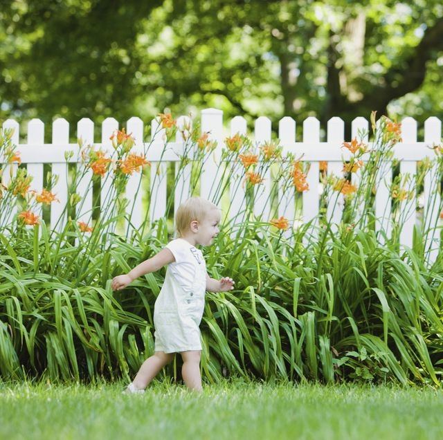 In finding the best rustic backyard fence ideas, consider building lattice  fence