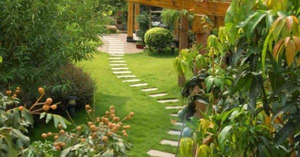 Great design: shallow back yard (unlike those long skinny British ones),  contrast of leaves, colors, and easy plants