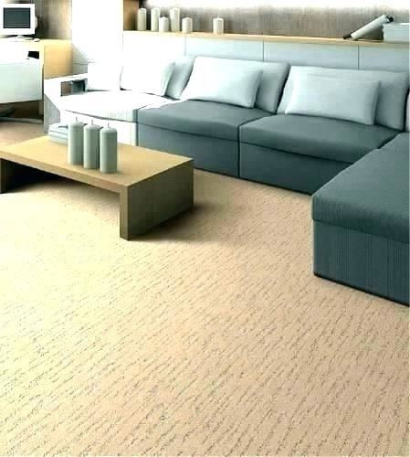 best carpet for basement family room best carpet for basement family room  get home house goldsmiths