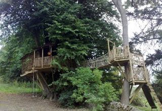 simple treehouse