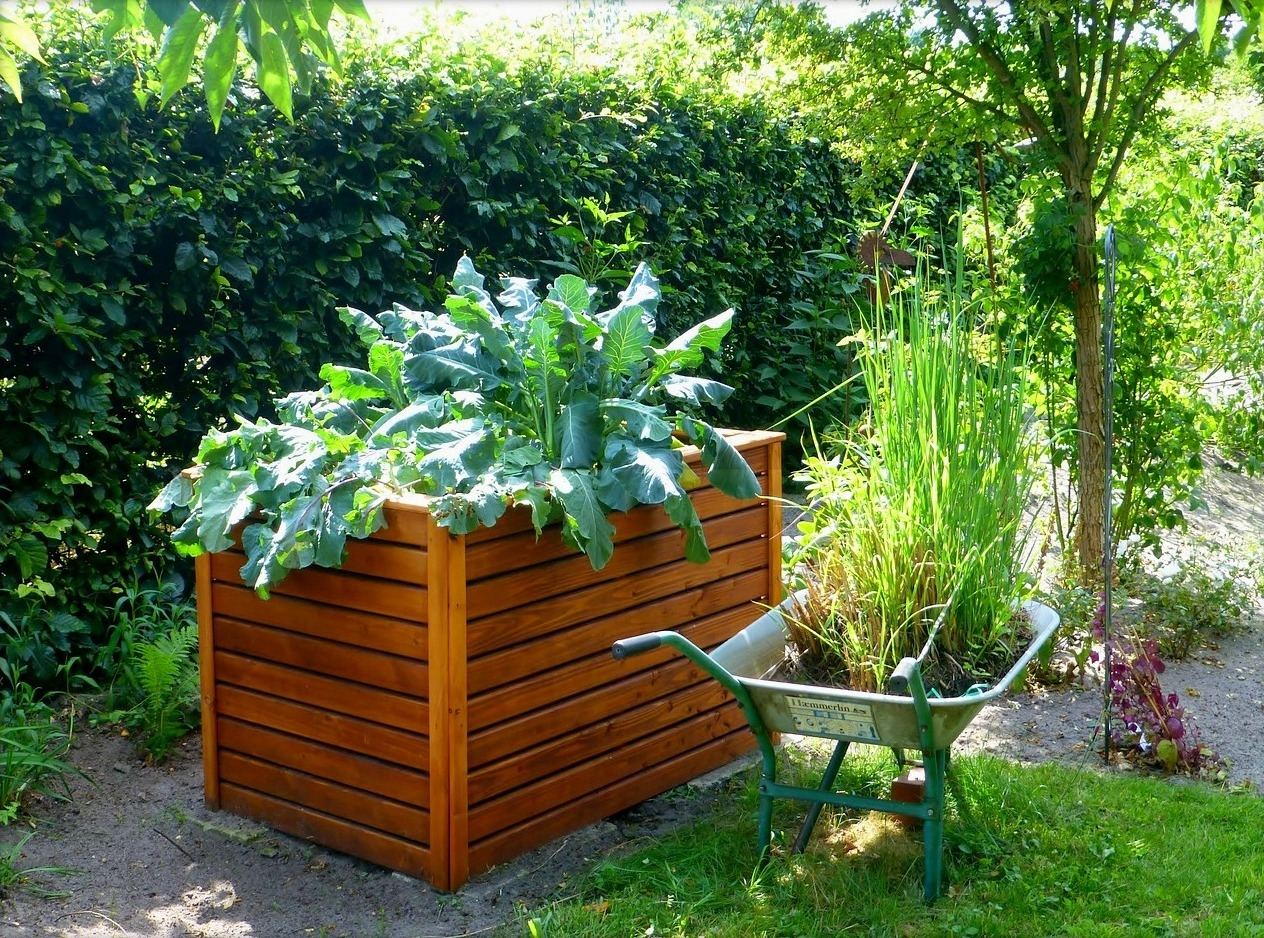 These vegetable garden designs require a little more space