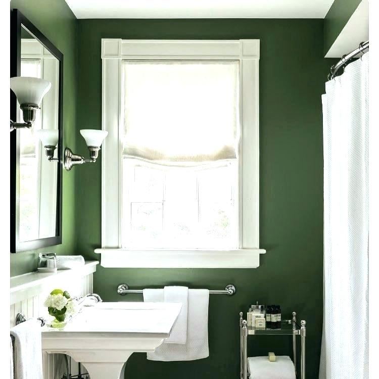green and brown bathroom black and brown bathroom ideas bathroom ideas mint green home design bathroom