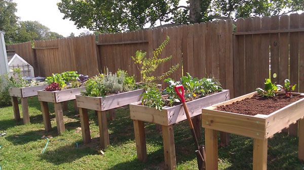 She has lots  of step by step photos as she shares how to make this raised bed