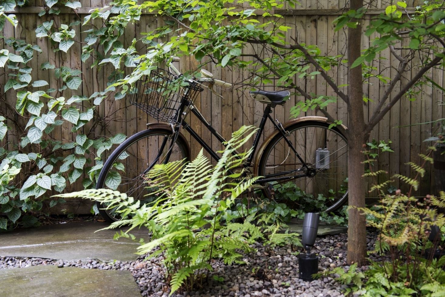 add foundation plants to hide air conditioner