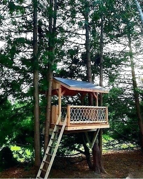 A homemade treehouse built just for fun