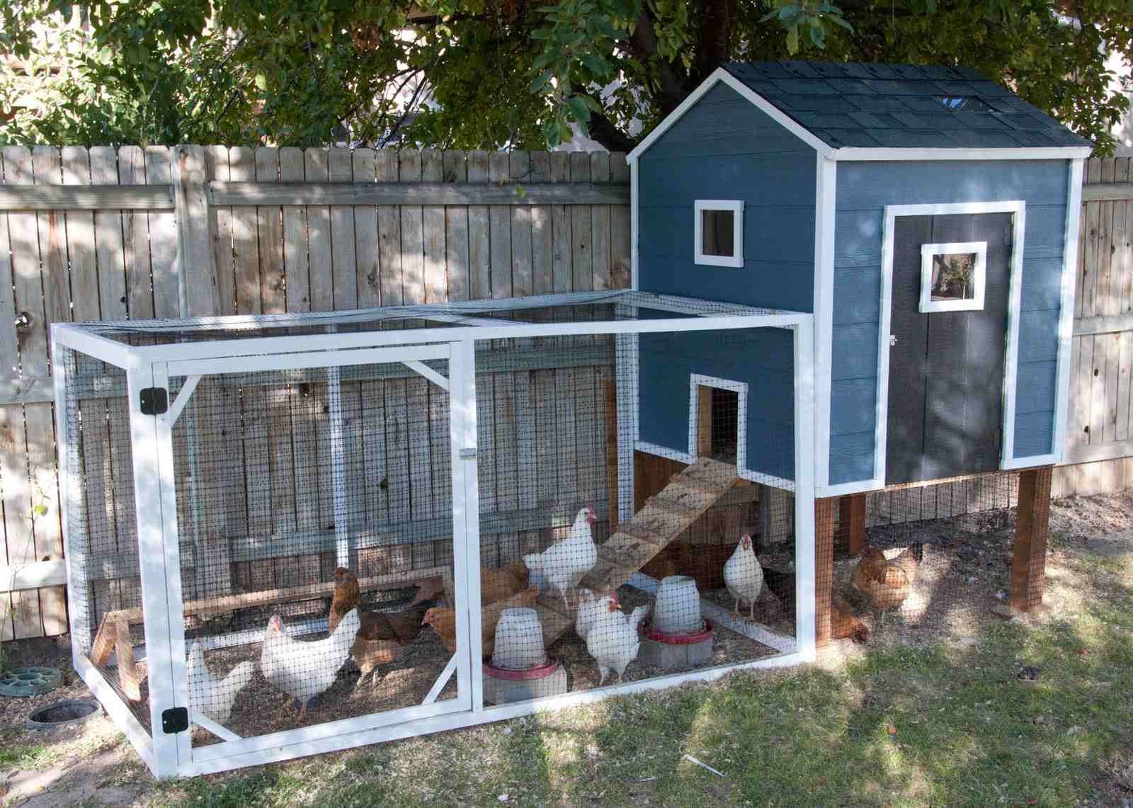 hen house design plans beautiful chicken